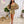 Load image into Gallery viewer, 0520