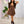 Load image into Gallery viewer, 0341