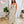 Load image into Gallery viewer, 0510