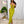 Load image into Gallery viewer, 0443