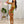 Load image into Gallery viewer, 0279