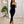 Load image into Gallery viewer, 0461