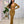 Load image into Gallery viewer, 0371