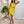 Load image into Gallery viewer, 0466