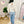 Load image into Gallery viewer, 0448