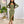 Load image into Gallery viewer, 0441