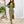 Load image into Gallery viewer, 0441