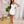 Load image into Gallery viewer, 0777