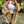 Taryn Buttonless Cardigan