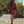 Willow Sweater Dress