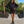 Willow Sweater Dress