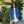 Margot Denim Cape Jacket